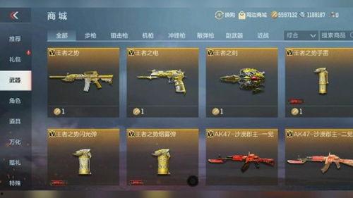 最新爆料的武器有哪些,尖端科技引领未来战争新篇章 第3张 最新爆料的武器有哪些,尖端科技引领未来战争新篇章 第3张